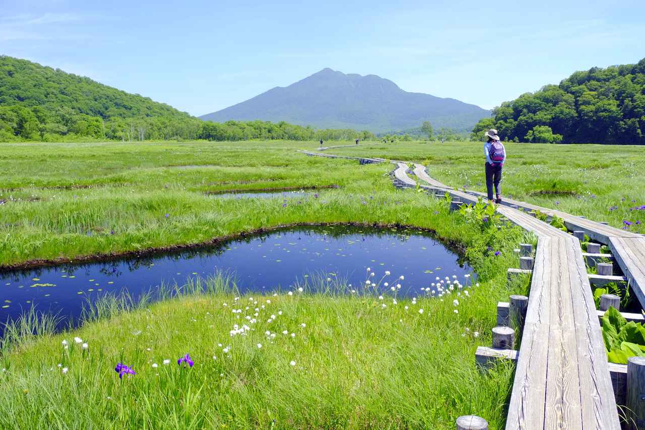 画像: 尾瀬ヶ原の木道（イメージ）