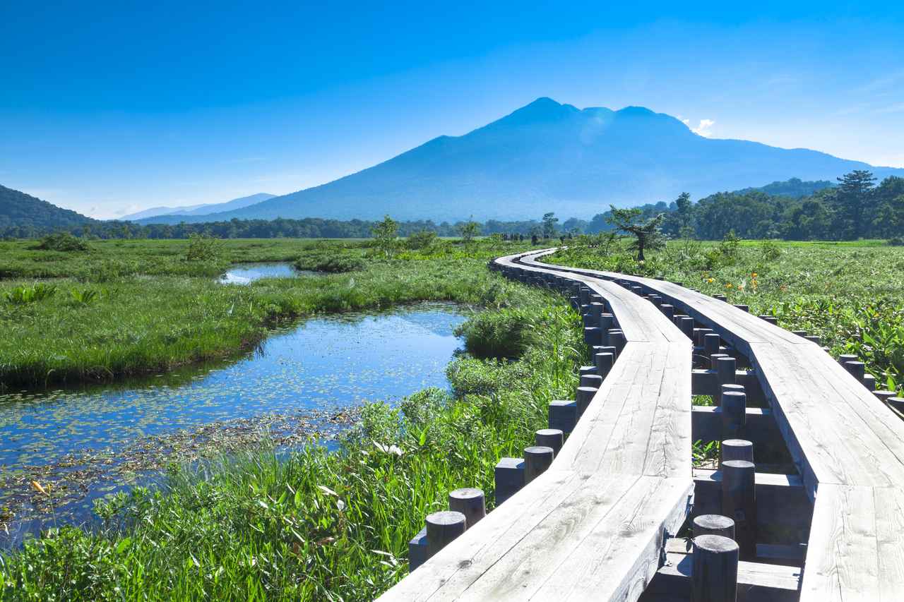 画像1: 尾瀬の自然に寄り添い、登山道を“未来へつなぐ”。 環境を守る一歩を、自分の手で踏み出そう