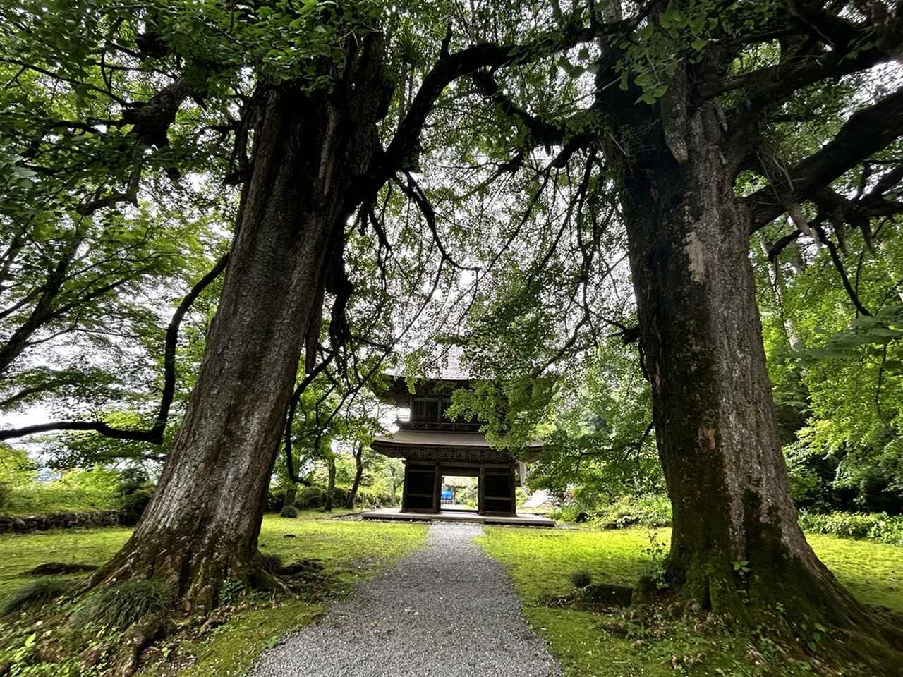 画像2: 8/1発行・街道をあるく掲載コース
＜ ウォーキング ＞ 心と身体をリフレッシュ！
秋川の清流の元でリバーチェアリングやストーンペインティングを楽しむ 秋の森林浴ツアー