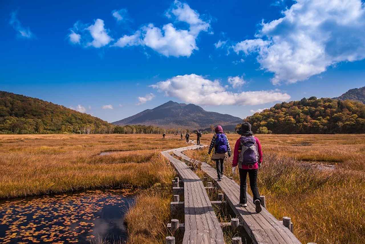 画像: 紅葉に色づく草紅葉(イメージ／※見頃：例年9月上旬～10月上旬)