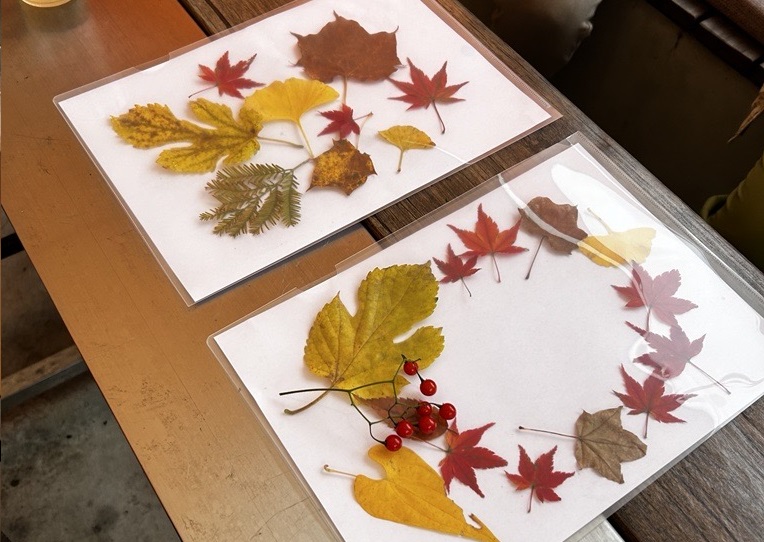 画像: 色づいた葉っぱは紅葉の時期ならでは♪