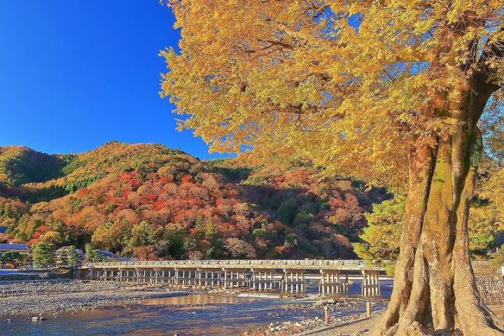 画像: ＜ハイク中級＞『紅葉の京都・滋賀　絶景ハイキング　３日間』【東京出発】｜クラブツーリズム