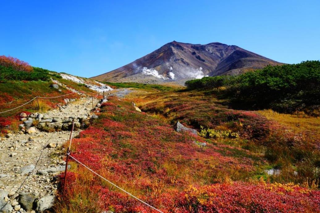画像: ＜登山入門＞『この時期しか見られない壮大な絶景！裾合平・黒岳・大雪高原沼めぐり　３日間』【羽田出発】｜クラブツーリズム