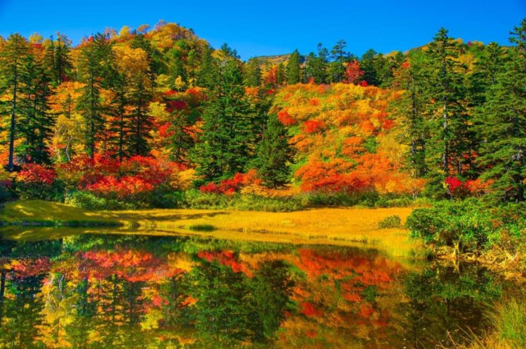 画像: 大雪高原・滝見沼の紅葉(イメージ）