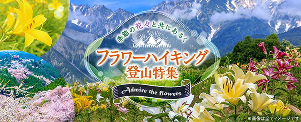 画像: フラワーハイキング・登山 花を愛でる旅・ツアー【関東発】│クラブツーリズム