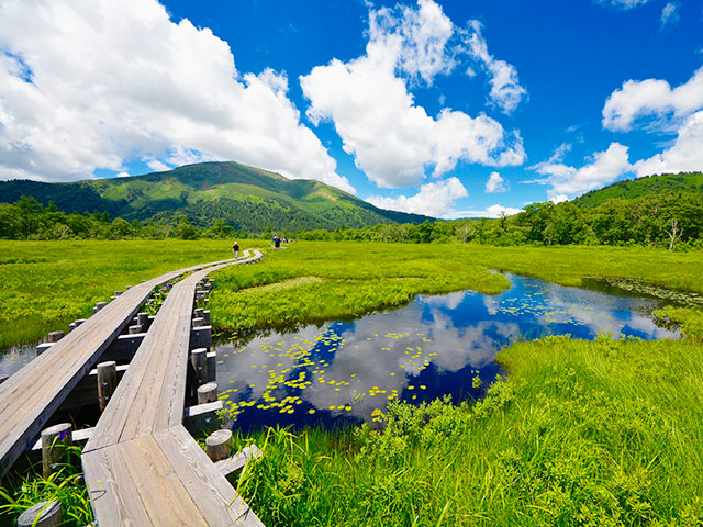 画像: 尾瀬旅行・ツアー 2025ハイキング・登山【関東発】│クラブツーリズム
