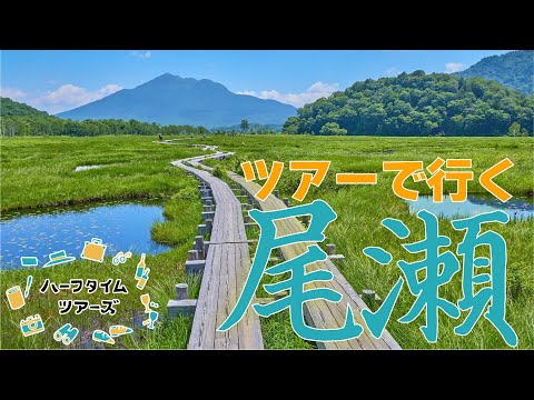 画像1: - YouTube youtu.be