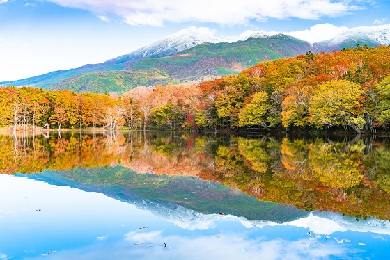 画像: ＜ハイキング中級＞『道東の美しい紅葉と秘境を訪ね歩く　秋の知床五湖全周・羅臼湖・野村半島トドワラ　３日間』【羽田出発】｜クラブツーリズム
