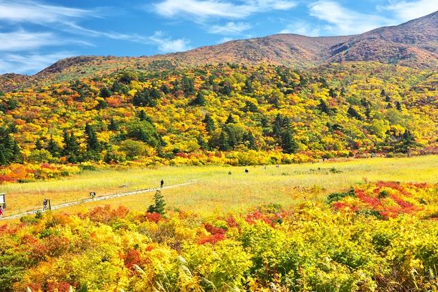 画像: 栗駒山・名残ヶ原湿原(イメージ)