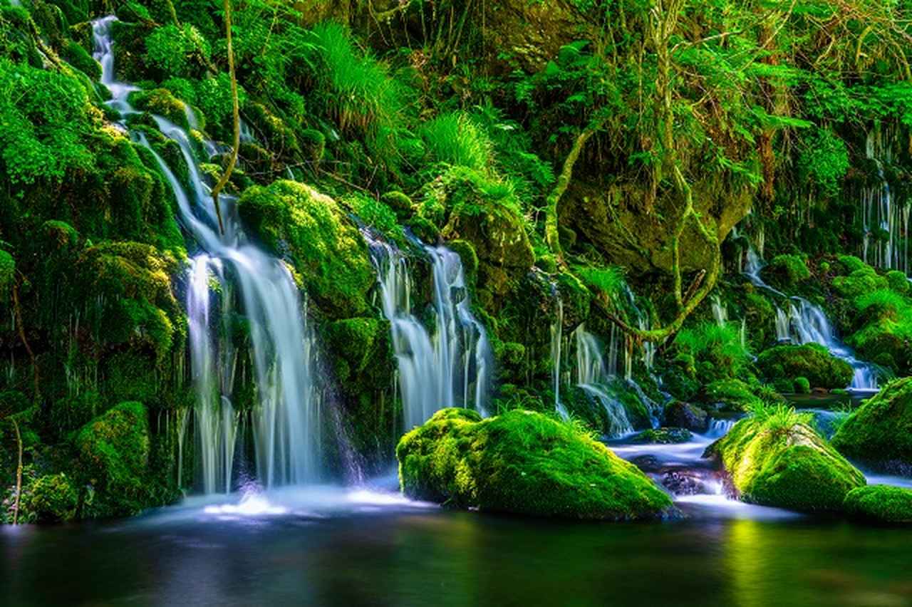 画像: 元滝伏流水(イメージ)
