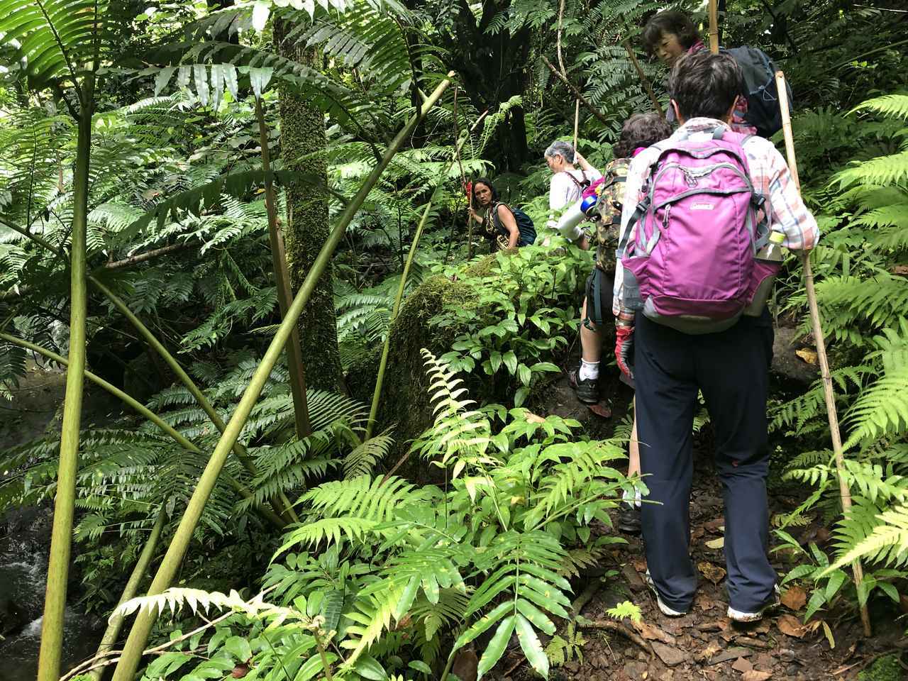 画像2: 【世界をあるく】＜登山入門＞『エアタヒチヌイ特別便（タヒチ～イースター島間） 神秘のイースター島とタヒチ島・モーレア島トレッキング８日間』ツアーのご紹介！