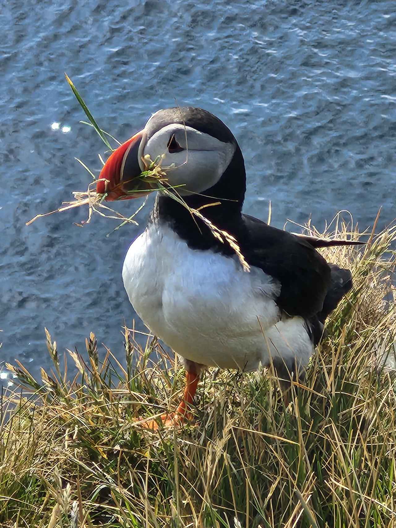 画像4: 4日目：滝と断崖絶壁、自然の造形美に感動