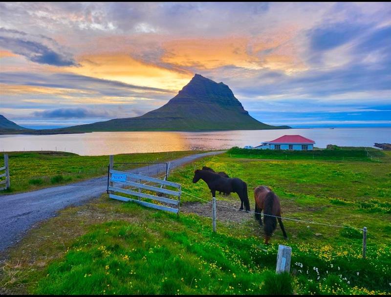 画像3: 6日目：絶景の宝庫、スナイフェルスネス半島を巡る