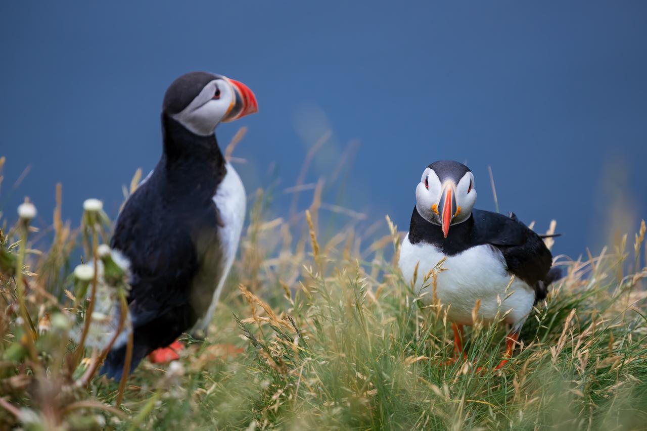 画像1: 4日目：滝と断崖絶壁、自然の造形美に感動