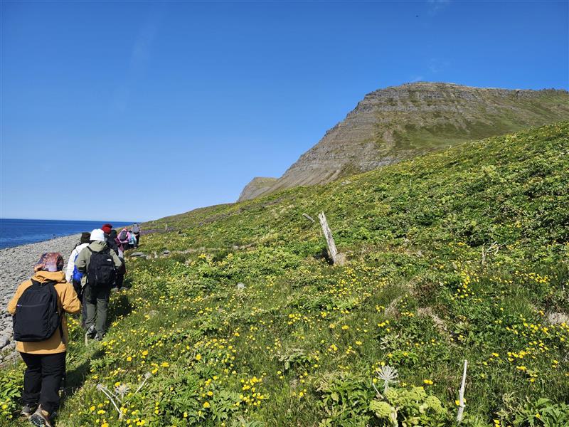 画像16: 地球そのものの躍動を感じに！夏のアイスランド｜世界をあるく│クラブツーリズム