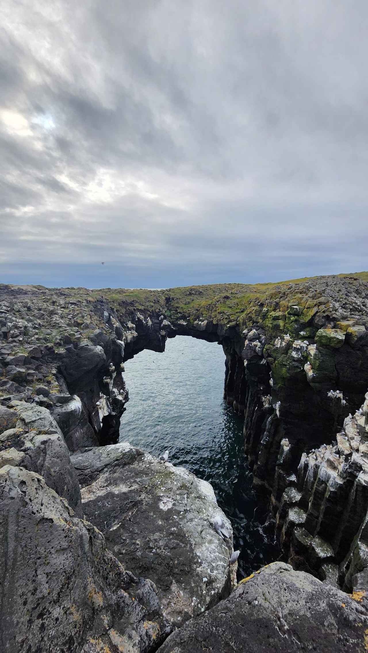 画像22: 地球そのものの躍動を感じに！夏のアイスランド｜世界をあるく│クラブツーリズム