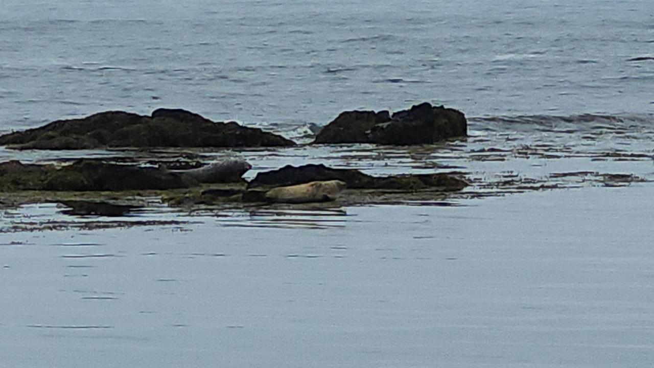 画像23: 地球そのものの躍動を感じに！夏のアイスランド｜世界をあるく│クラブツーリズム