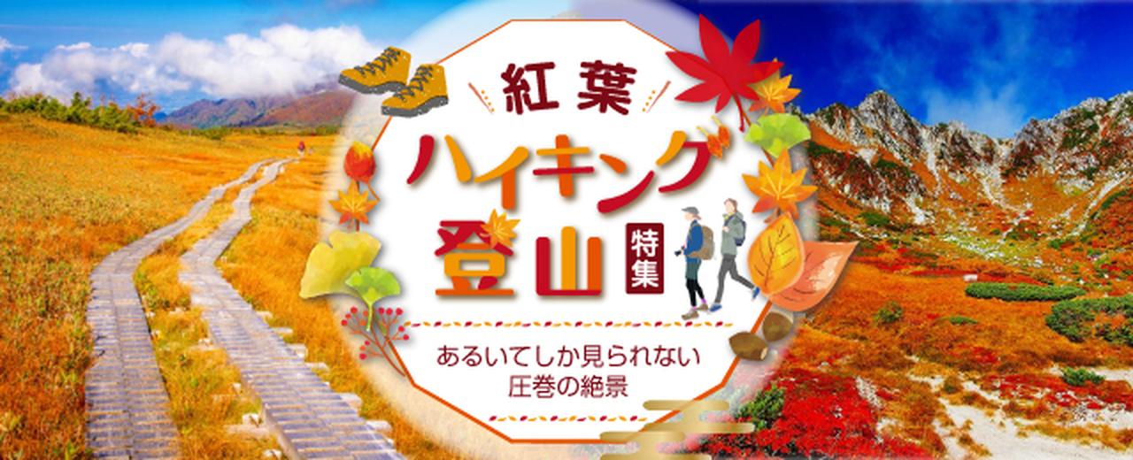 画像: 紅葉ハイキング・登山ツアー・旅行【関東発】│クラブツーリズム