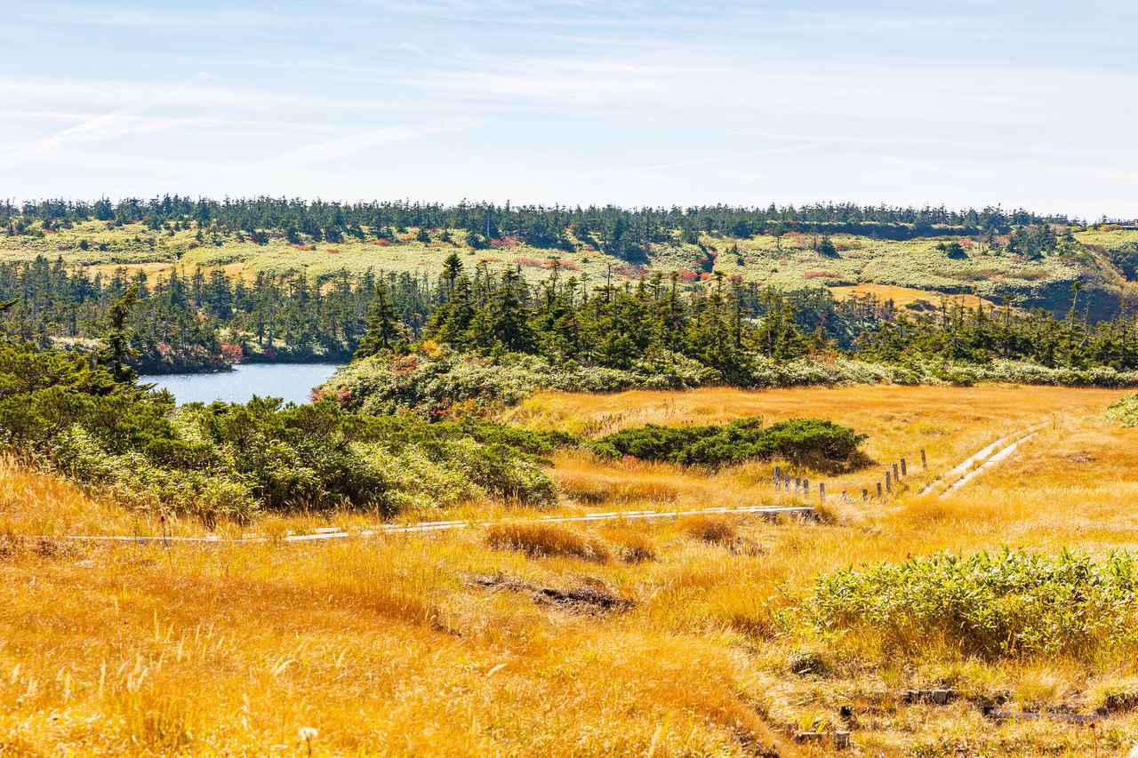 画像: 八幡平（イメージ／紅葉見頃：例年9月下旬～10月中旬）