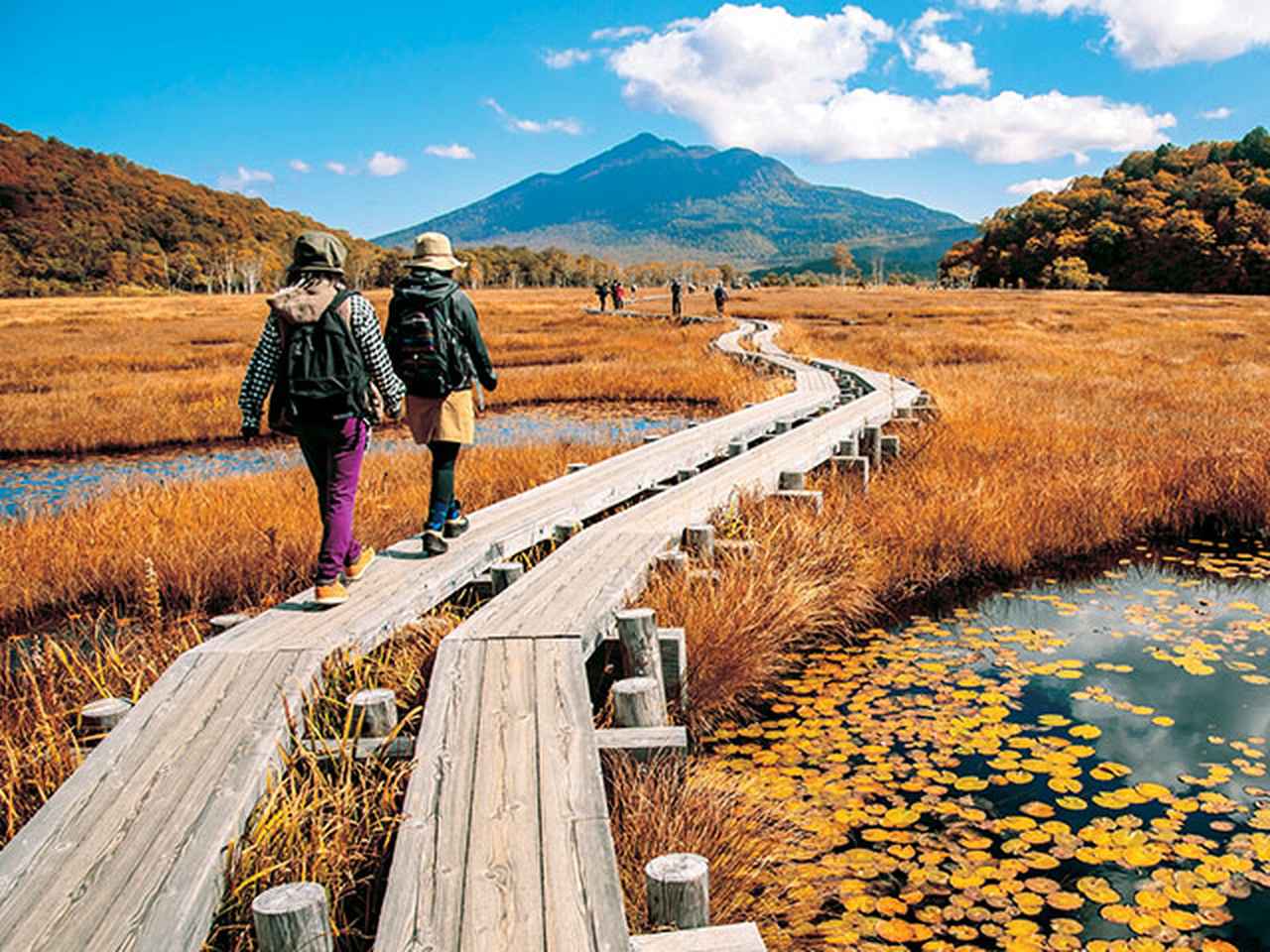 画像: 尾瀬旅行・ツアー 2025ハイキング・登山【関東発】│クラブツーリズム