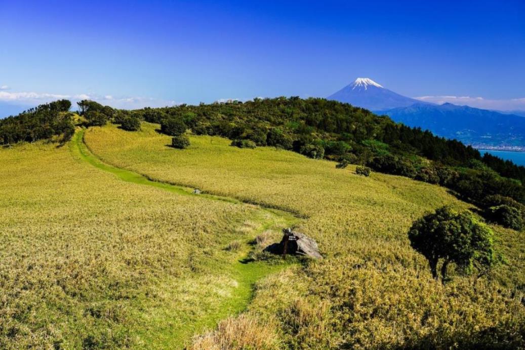 画像: ＜ハイク中級＞『富士を正面に眺めながら歩く　西伊豆稜線トレイル』【選べる発着地】｜クラブツーリズム