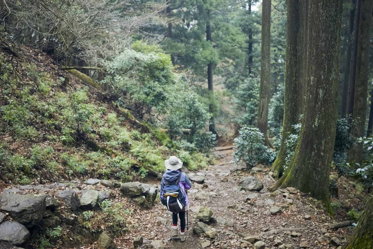 画像: 山に「トイレがない」って、どういうこと？