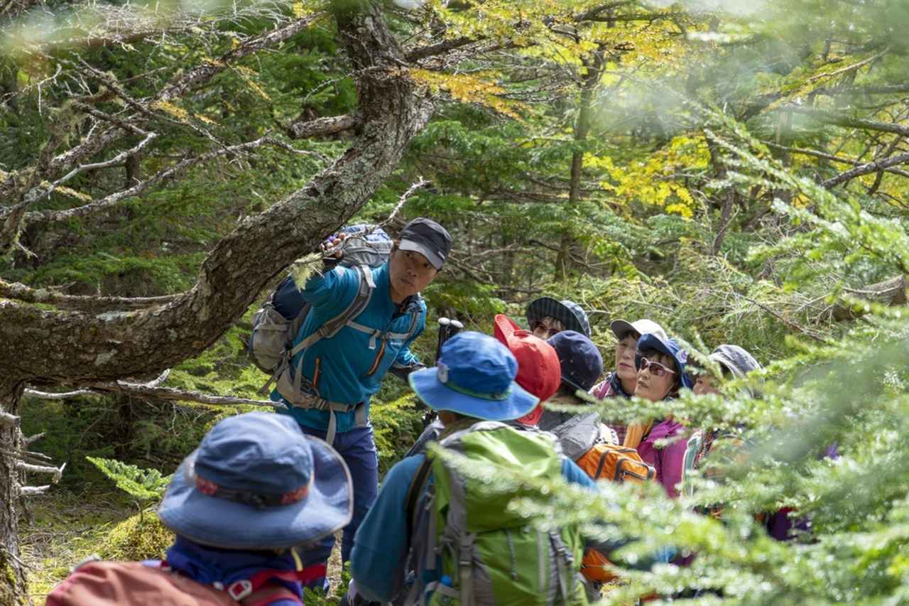 画像: 【人気ガイドシリーズ】池川利雄ガイド代表・ノースフットトレックガイズと行くあるき旅＜ハイキング・ウォーキングの旅＞ - クラブログ ～スタッフブログ～｜クラブツーリズム
