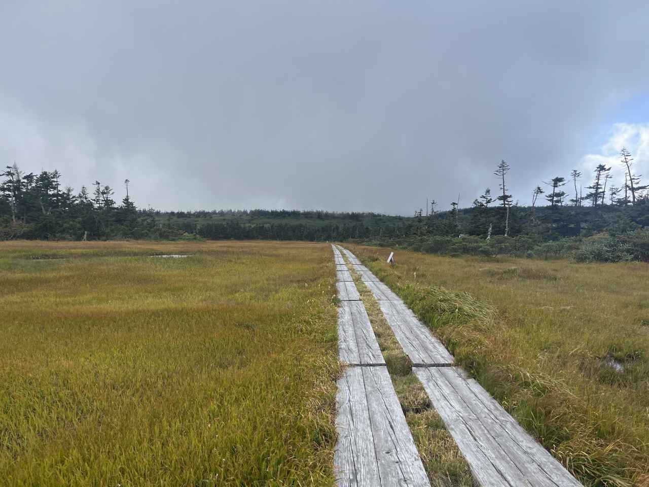 画像: きれいな木道で歩きやすいです♪