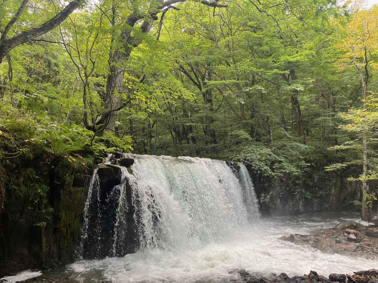 画像: 最後は銚子大滝を眺めながらハイキング