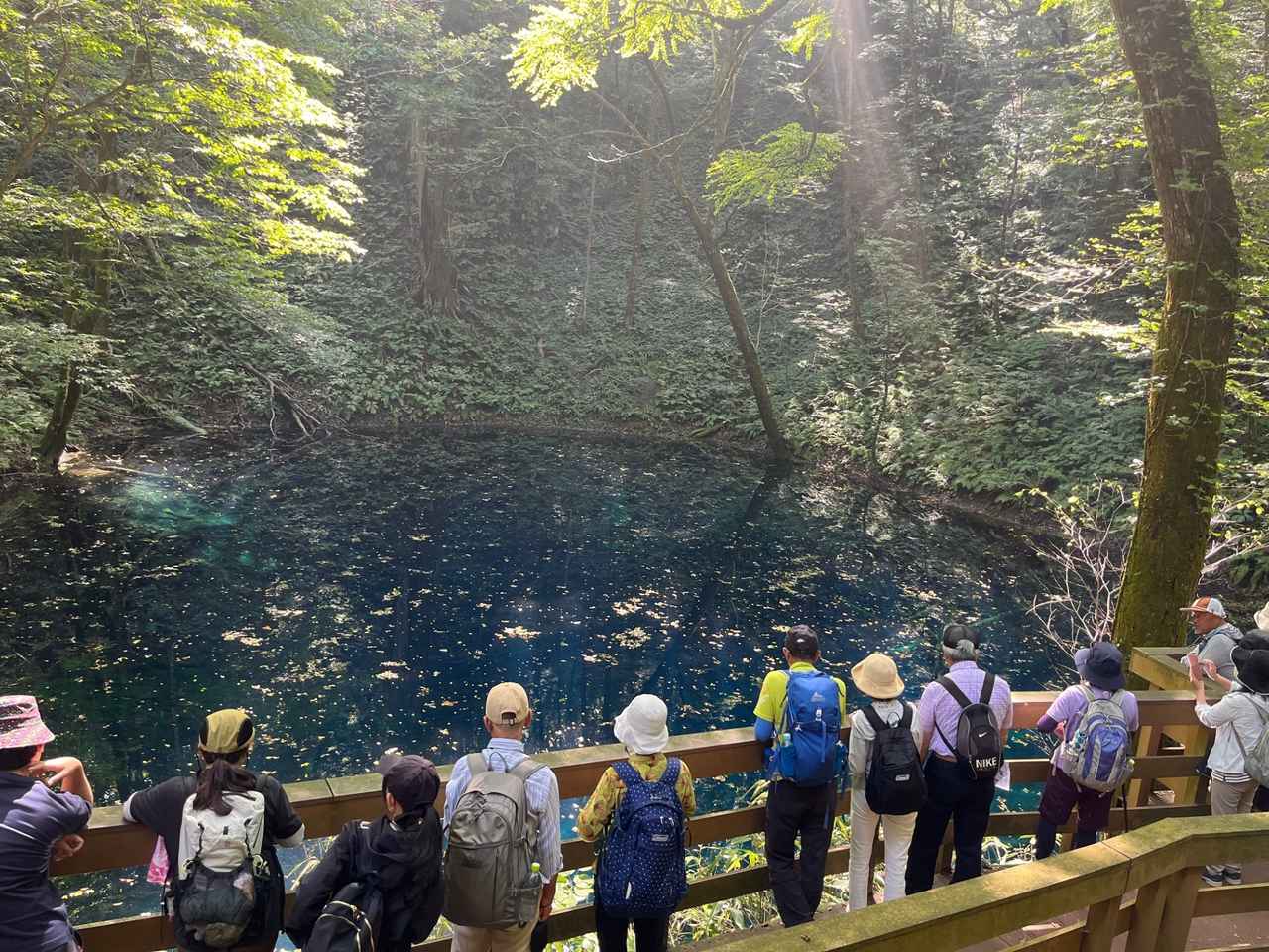 画像: 光の差し込む青池に皆様釘付けです！