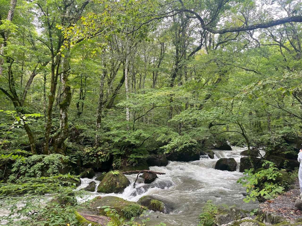 画像: 迫力満点の阿修羅の流れ