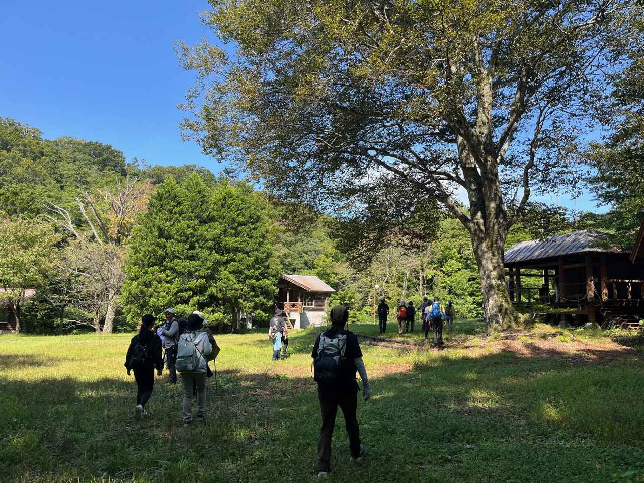 画像: 右側の東屋の中、または芝生に敷物を敷いてランチタイムです♪