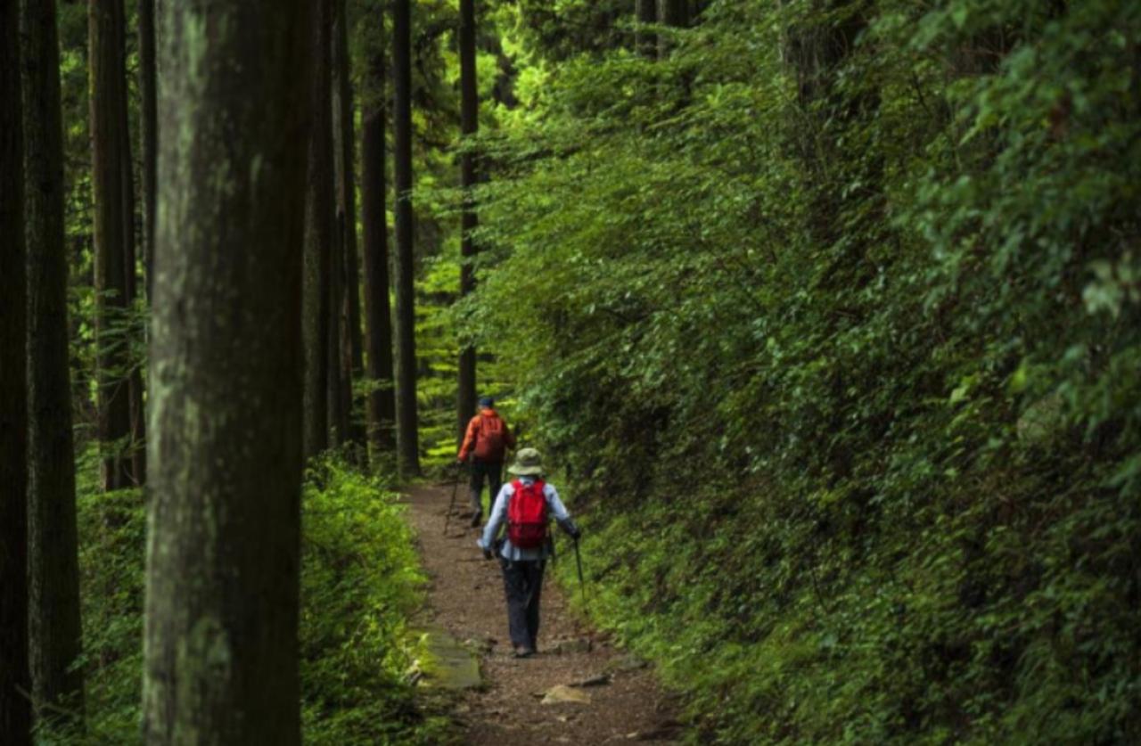 画像: 御岳山の登山道（イメージ）