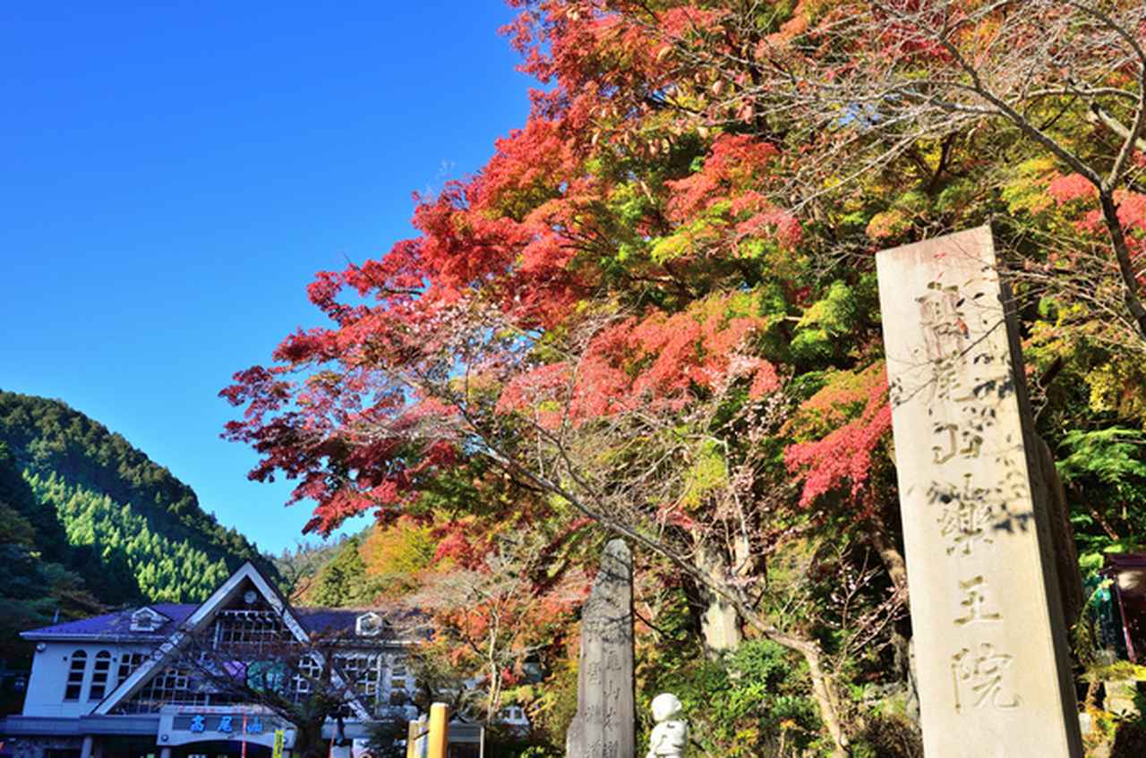 画像: 高尾山の入り口・清滝駅周辺の紅葉（イメージ）