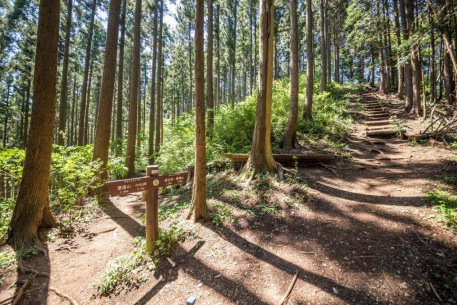 画像: ＜登山中級A＞『登山のカラダづくり研究所　アップダウンが続く北高尾山稜』　【JR高尾駅集合】｜クラブツーリズム