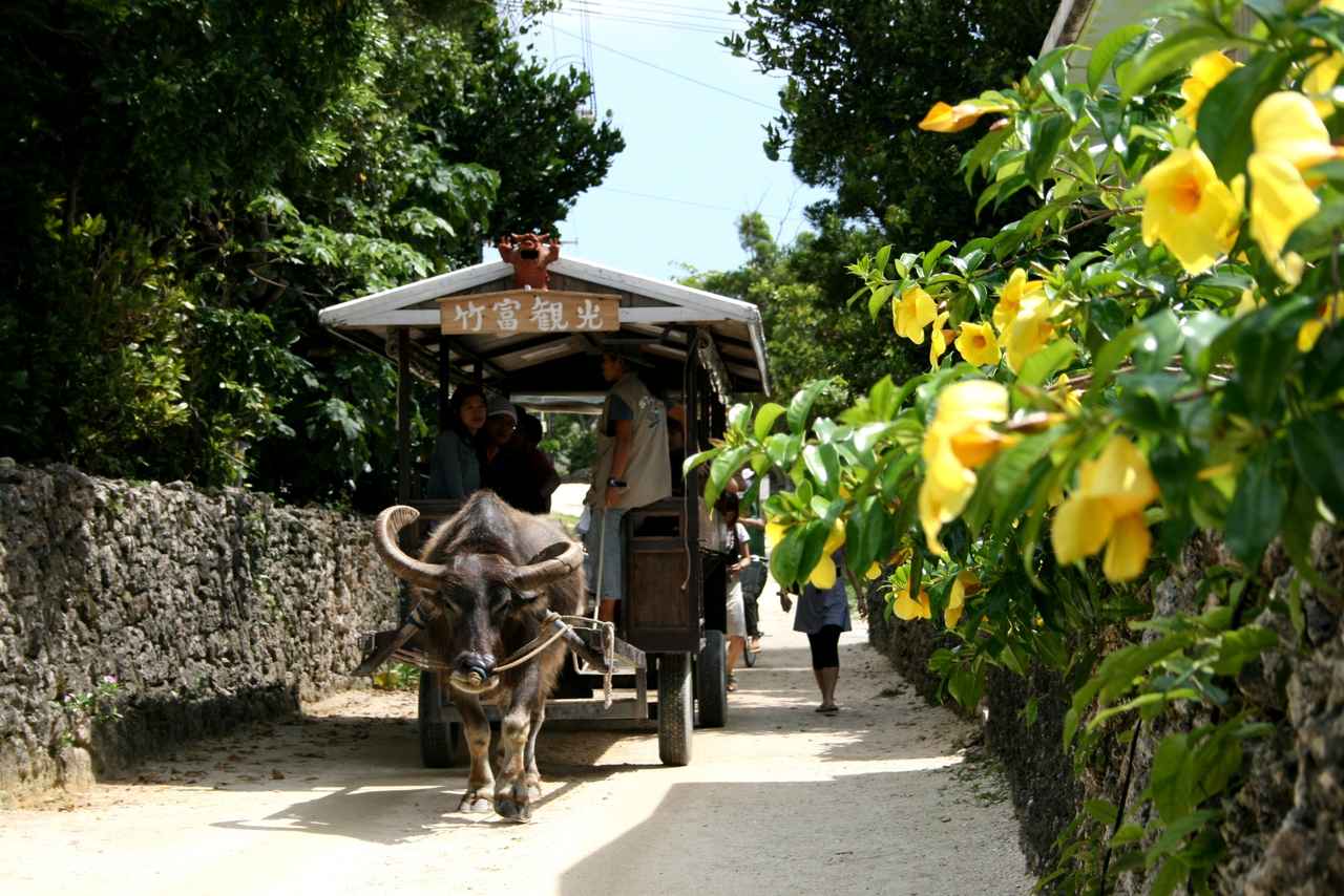 画像10: 寒い冬こそ、南国・沖縄へ！おすすめスポット×アウトドア旅のすすめ【ハイキング・ウォーキングの旅】