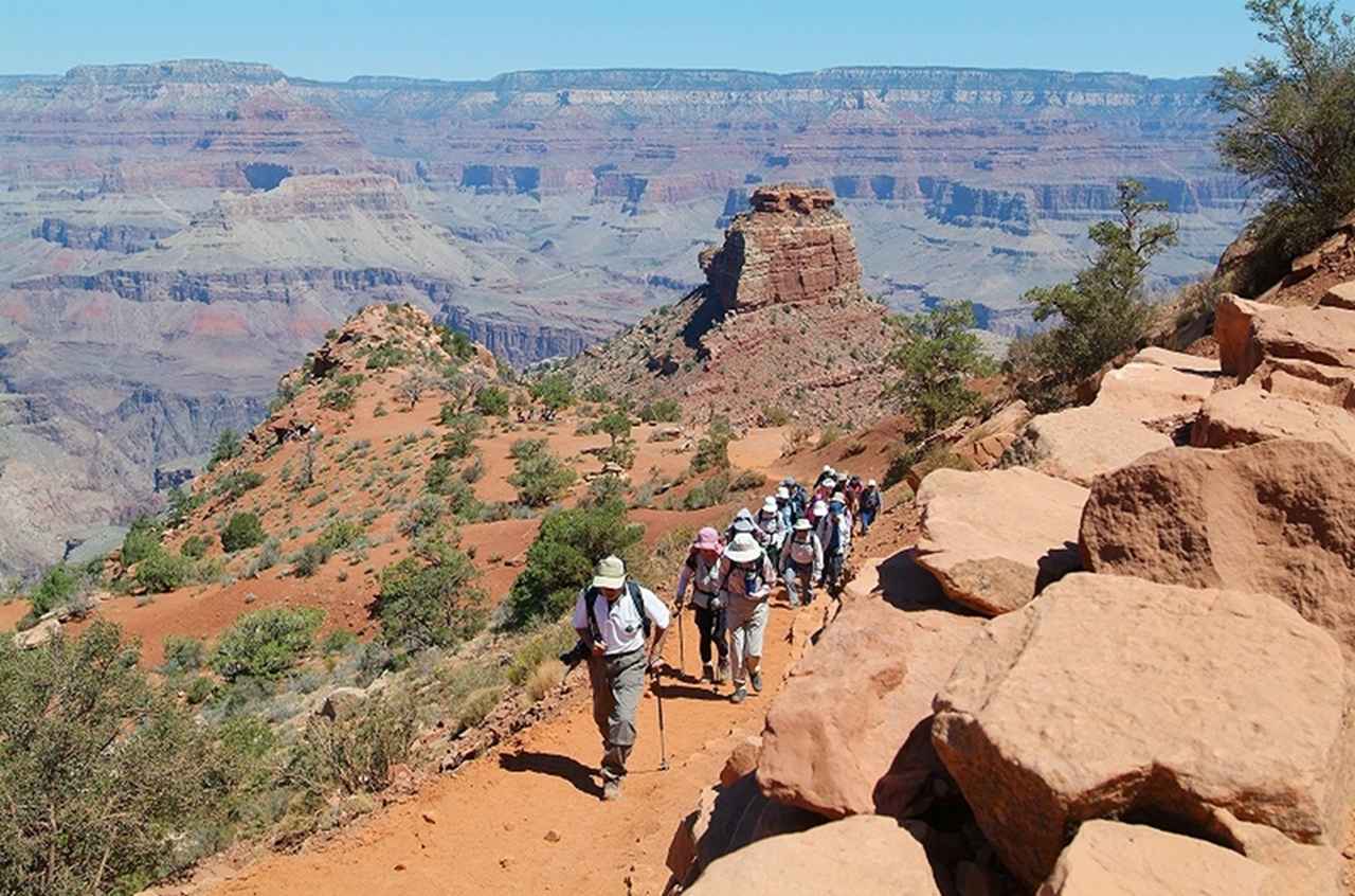 画像: トレッキングの様子