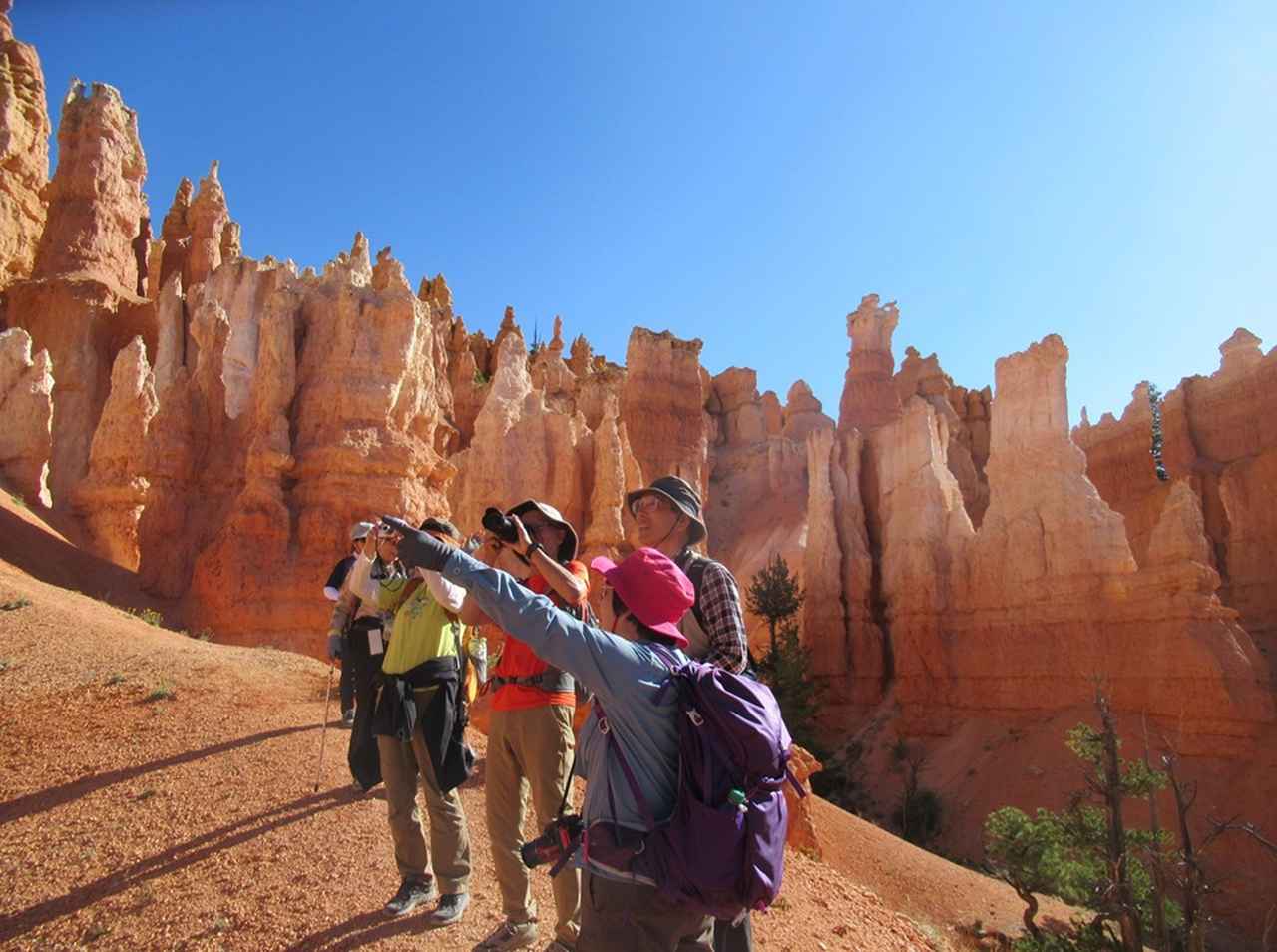 画像1: ハイキング中の風景