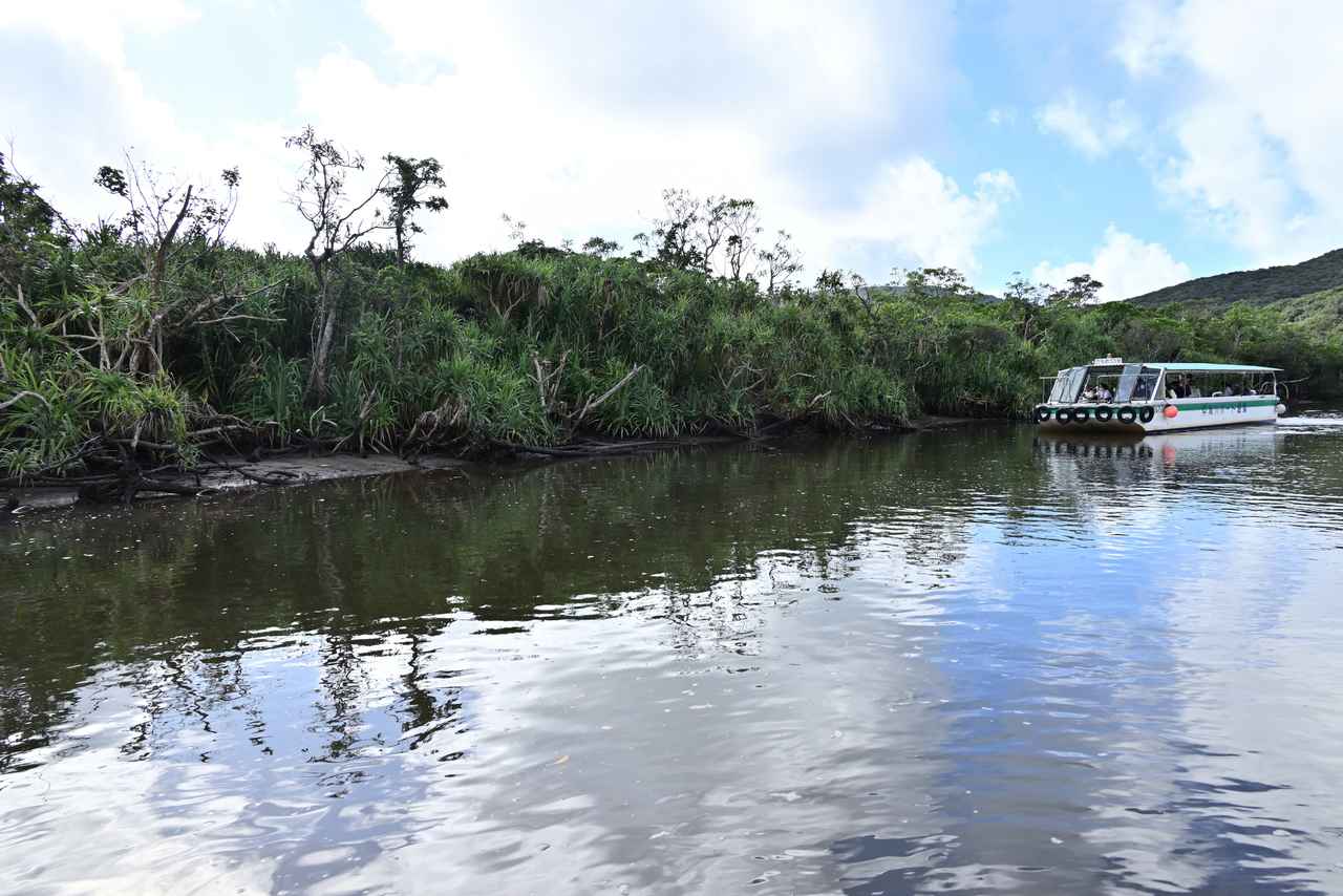 画像8: 寒い冬こそ、南国・沖縄へ！おすすめスポット×アウトドア旅のすすめ【ハイキング・ウォーキングの旅】
