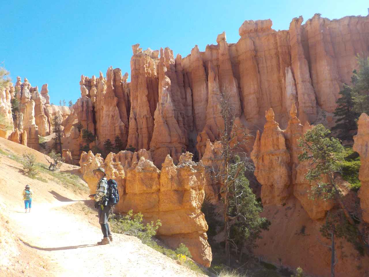 画像2: 【世界をあるく】アメリカ国立公園グランドサークル・ヨセミテ国立公園絶景ハイキング
