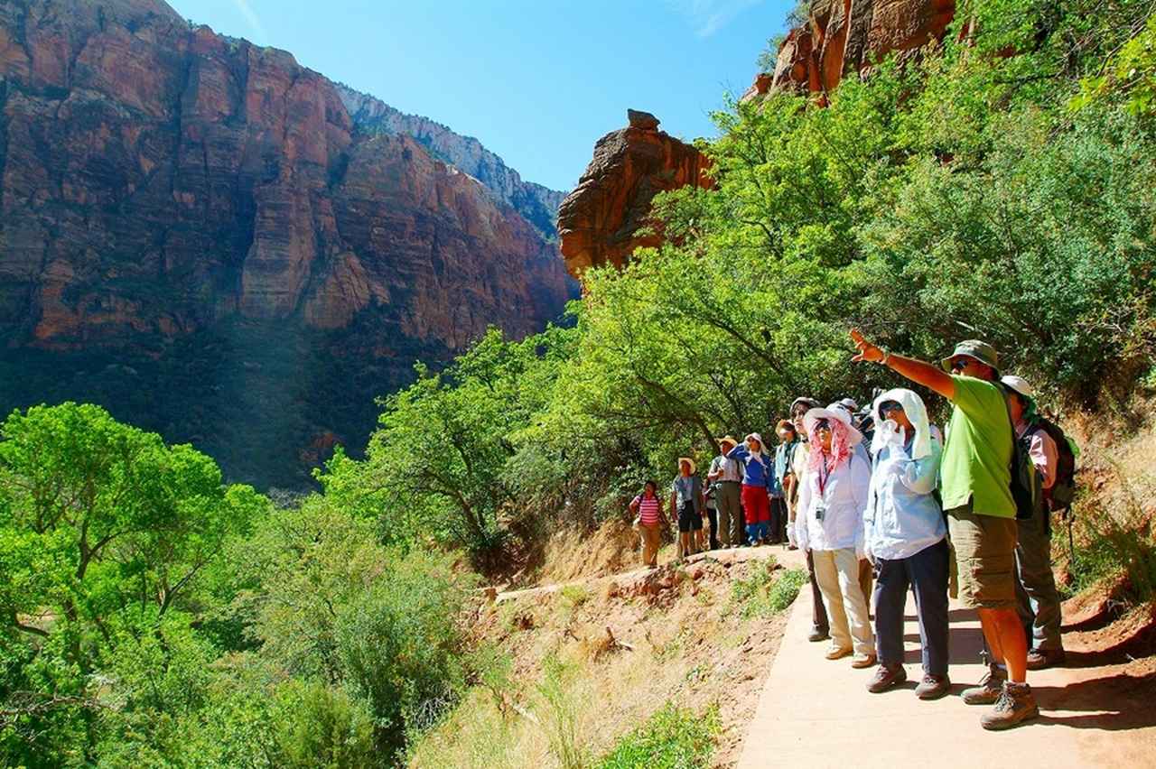 画像2: ハイキング中の風景