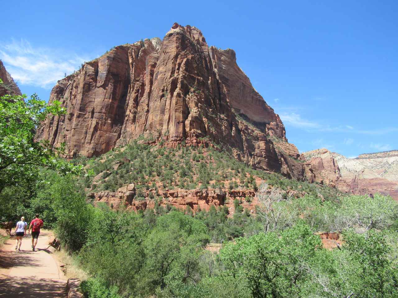 画像3: ハイキング中の風景