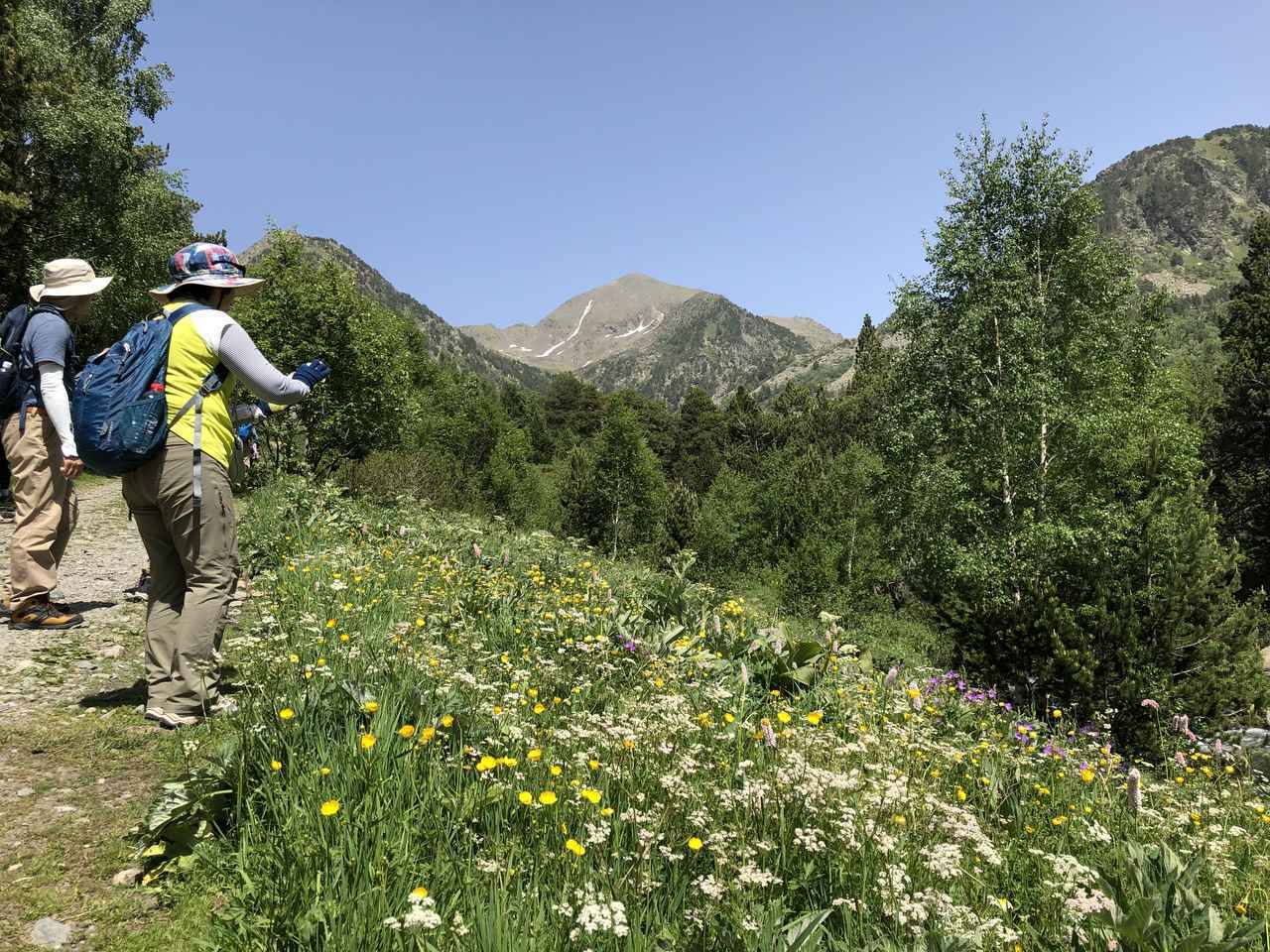 画像1: ハイキング中の風景