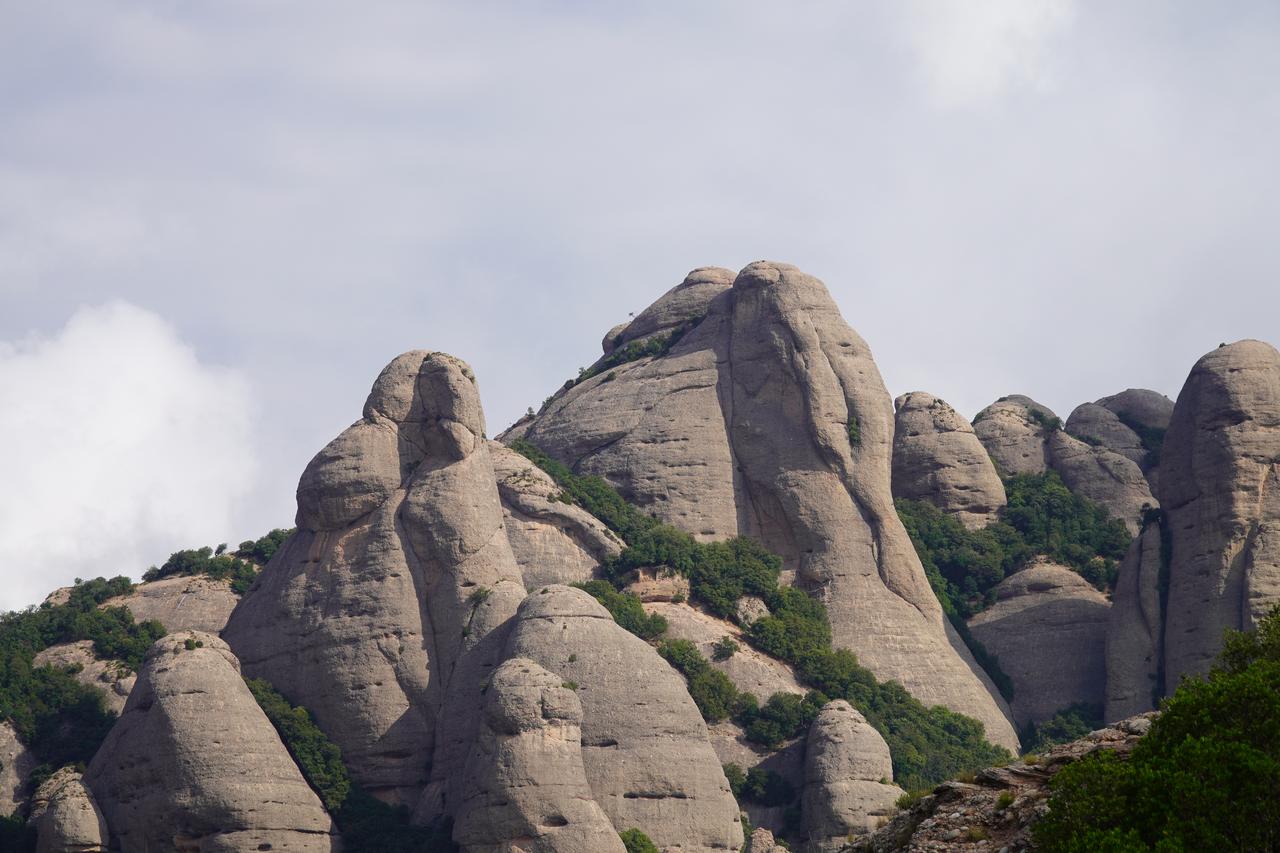 画像5: ハイキング中の風景