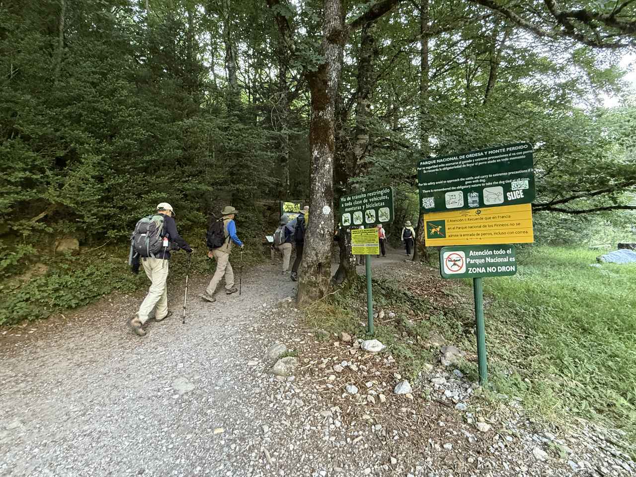 画像2: ハイキング中の風景