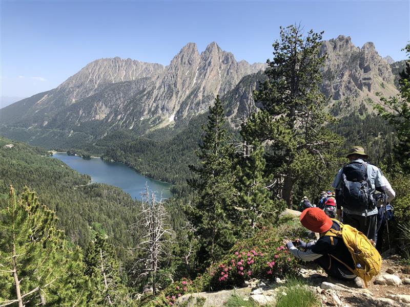 画像6: ハイキング中の風景