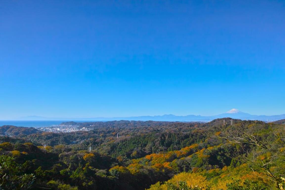 画像: ＜登山初級Ａ/縦走＞『鎌倉専門ガイド同行で古都鎌倉をあるく①　鎌倉アルプス縦走・大平山～天園　日帰り』【ＪＲ北鎌倉駅西口改札前集合・ＪＲ鎌倉駅解散】｜クラブツーリズム