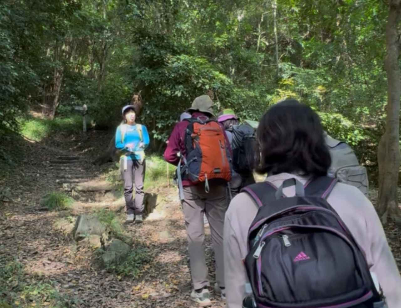 画像2: 【女性限定登山】<社員添乗レポ>おとなのステップアップガールズ 第2回 高麗山(こまやま)