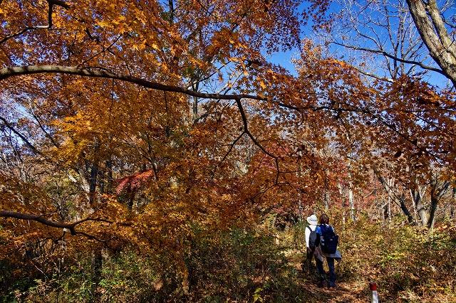 画像: 体力の維持・向上のために　中級レベルでトレーニング登山｜クラブツーリズム