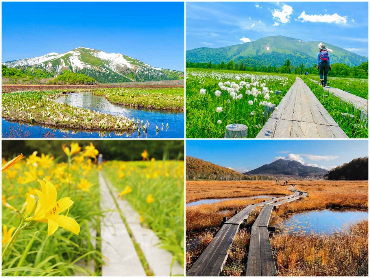 画像: 歩くからこそ見られる、息を呑む美しい絶景　尾瀬へ＜ハイキング・ウォーキングの旅＞ - クラブログ ～スタッフブログ～｜クラブツーリズム